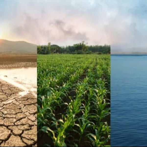 vmq9vyhz77hpu71tdxops6xor