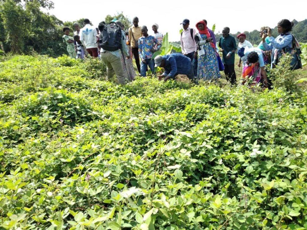 whatsapp image 2025 11 10 à 01.20.07 342e746a