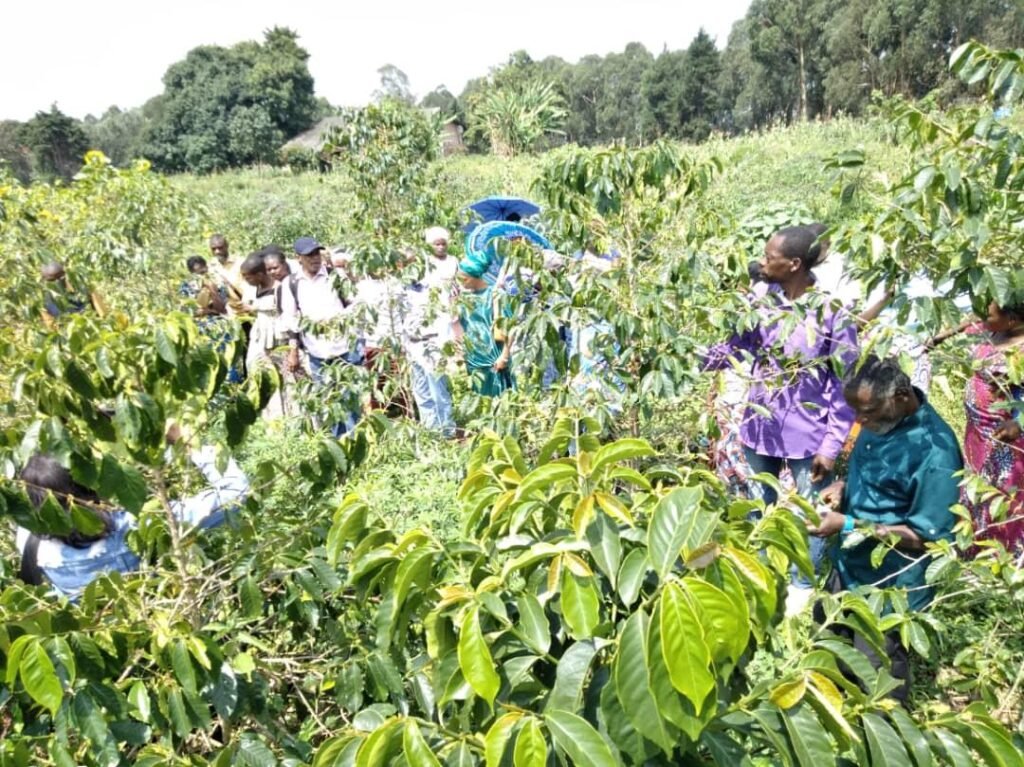 whatsapp image 2025 11 10 à 01.20.08 cc424136