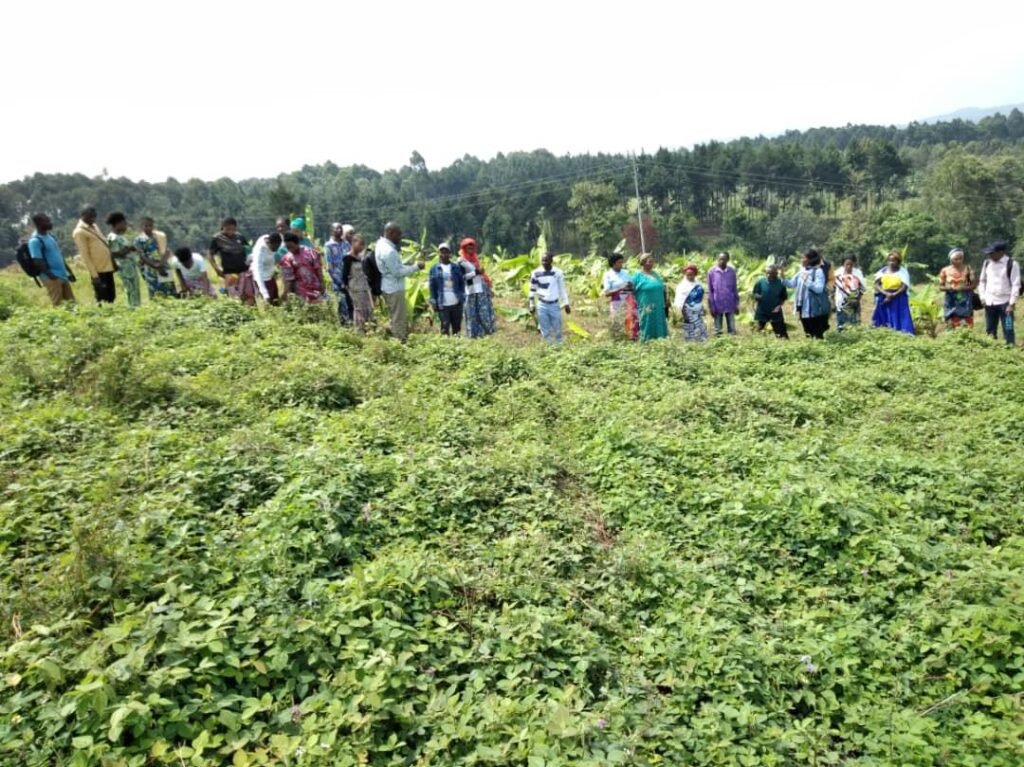 whatsapp image 2025 11 10 à 01.20.12 ea6ef8be