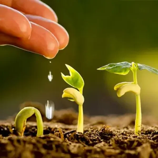 agroecologie